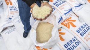 Kabar Siar - Badan Pangan Nasional (Bapanas) menugaskan Perum Bulog untuk mengimpor beras sebanyak 2 juta ton pada tahun ini.