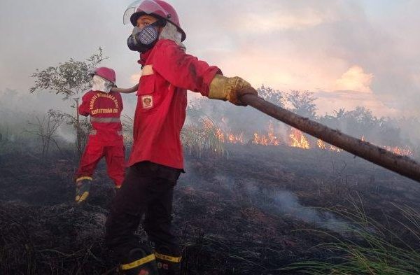 Karhutla Masih Ancam Sejumlah Wilayah di Tala, Begini Langkah Daops Manggala Agni