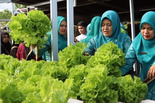 TP PKK Kecamatan Angsana Gelar Pembinaan Administrasi Dasa Wisma