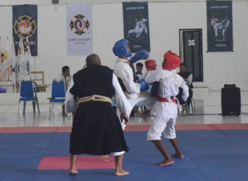 Batola Kumpulkan 102 Medali di Porprov XII, Kempo Jadi Penyumbang Terbanyak