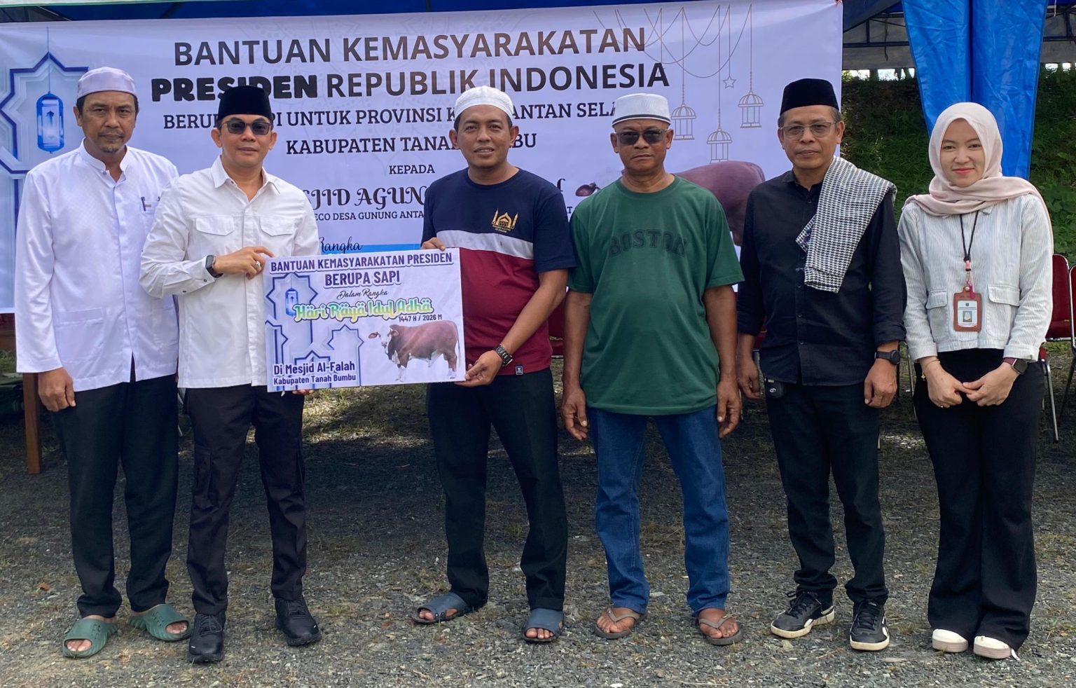 Jelang Idul Adha, Bantuan Sapi Kurban Presiden Prabowo Diserahkan untuk Masyarakat Tanah Bumbu
