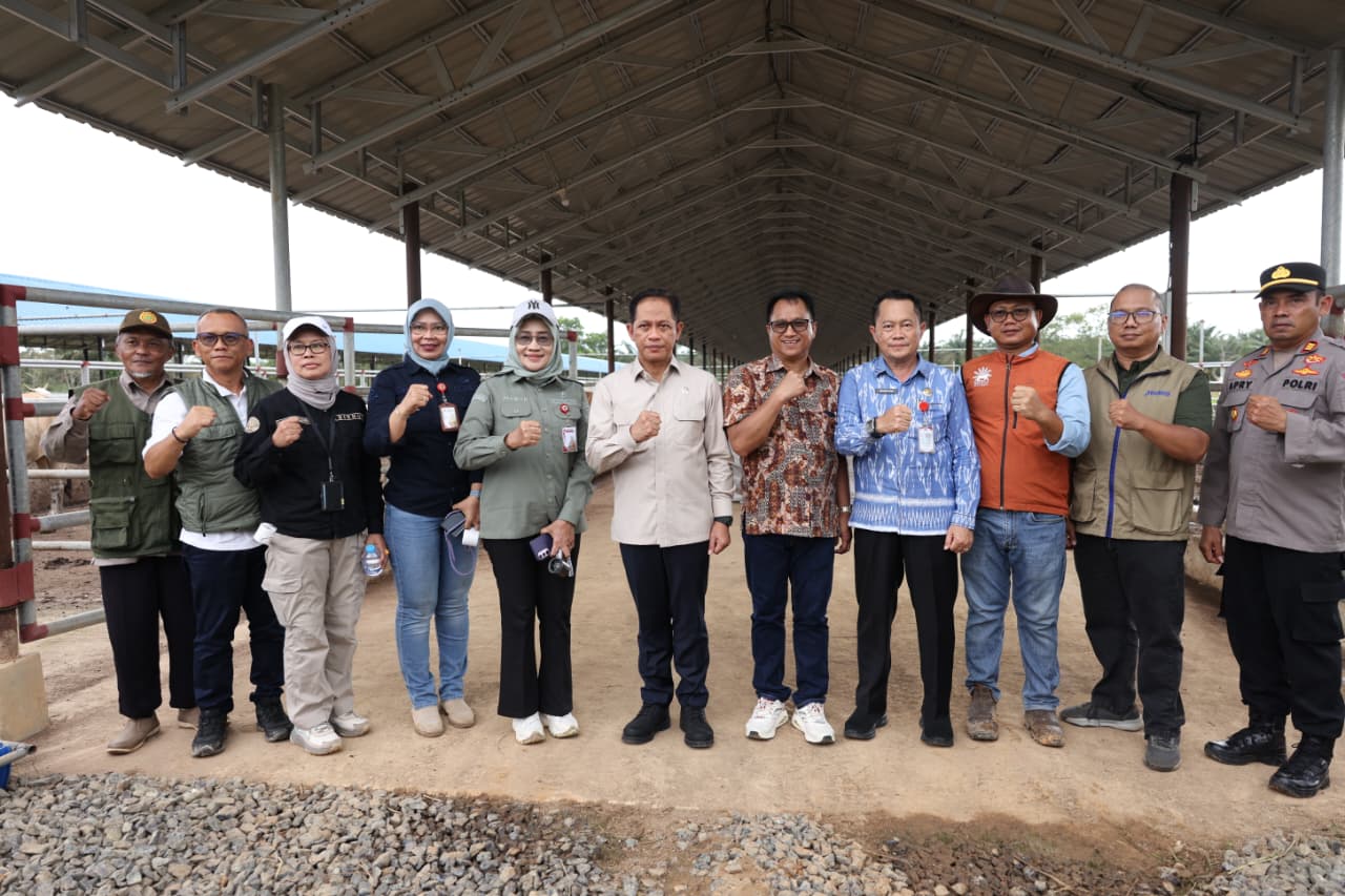 Pemkab Tanah Bumbu Dukung Ketahanan Pangan Lewat Program Integrasi Sapi dan Sawit