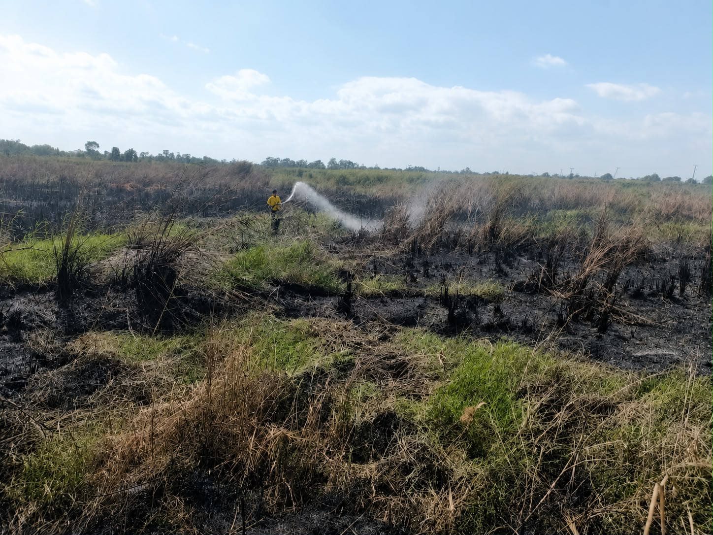 Tiga Titik Kebakaran Lahan Melanda Tanah Bumbu, BPBD Bergerak Cepat Cegah Api Meluas
