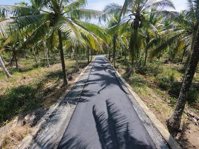Jalan Rantau Panjang Hulu Diaspal, Mobilitas Warga dan Angkutan Hasil Panen Lancar